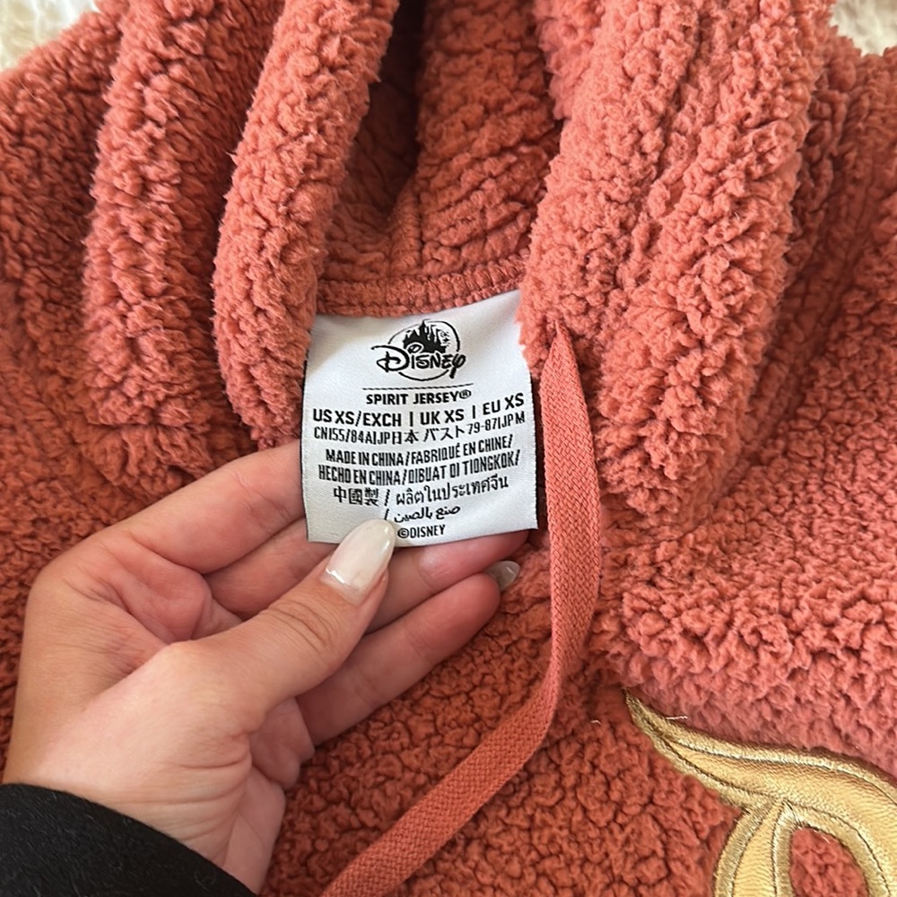 Last Chance - Disneyland Sherpa Hoodie - Picture 6 of 9